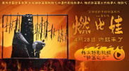 三级毛片免费